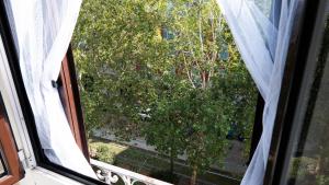 Casa Bonnie, Nuovo accogliente appartamento nel centro di Milano في ميلانو: نافذة مفتوحة مطلة على شجرة