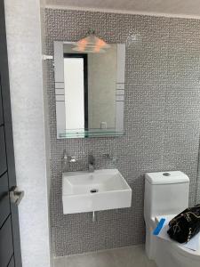 bagno con lavandino, specchio e servizi igienici di Apartamento completo dos habitaciones a La Grúa