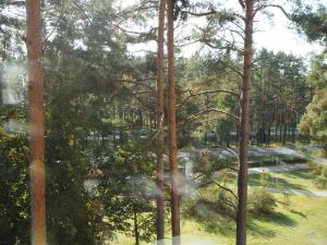 una ventana con vistas a un parque con árboles en Sunny apartment with lake and forest view, en Visaginas