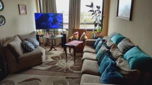 sala de estar con sofá y TV en Jeca Centro, en Valdivia
