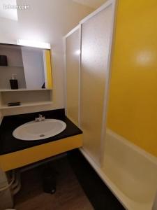 a bathroom with a sink and a shower with a mirror at Studio Cauterets centre - le Macadau in Cauterets