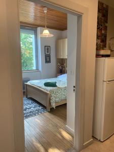 Η κουζίνα ή μικρή κουζίνα στο L appartement cosy