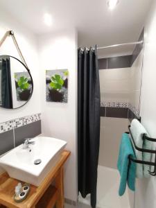 a bathroom with a sink and a shower at Studio Lindois in Lalinde