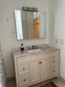 bagno con lavandino e specchio di Debdorkdave Hospitality Services J a Arlington