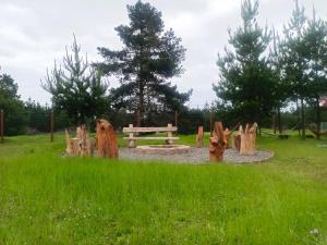 Zahrada ubytování Cabañitas Zelada