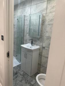 a bathroom with a sink and a shower and a toilet at Studio T in Dagenham +11 photos