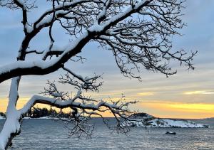 Gambar di galeri bagi Waterfront deluxe private room with breakfast di Nanoose Bay
