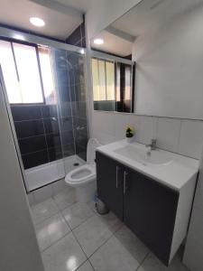 uma casa de banho com um lavatório, um WC e um chuveiro em Costanera Bed & Breakfast em Santiago