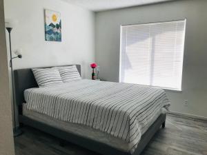 Super comfortable and beautiful 3 bedrooms, 2 baths House renting