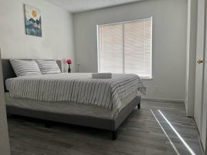 Super comfortable and beautiful 3 bedrooms, 2 baths House renting