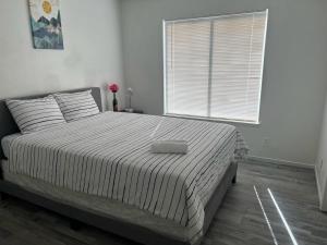 Super comfortable and beautiful 3 bedrooms, 2 baths House renting