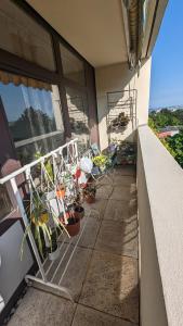 A balcony or terrace at Rheingau Vinegard Getaways Holiday Rental