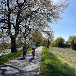 two people riding bikes down a path next to a tree at Studio Chaleureux au Cap d’Agde in Cap d'Agde
