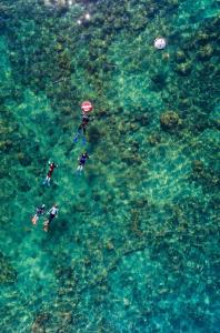 a group of people swimming in the water at Studio Chaleureux au Cap d’Agde in Cap d'Agde