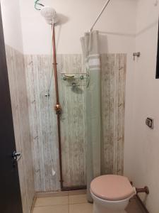 Café com Arte Pousada Ecológica في بوتوكاتو: حمام مع دش ومرحاض