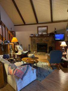 a living room with a couch and a fireplace at Smokey Mountain Cabin in Murphy