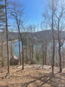 a view of a lake from the woods at Smokey Mountain Cabin in Murphy