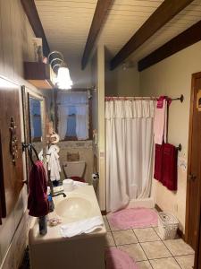 a bathroom with a sink and a toilet and a shower at Smokey Mountain Cabin in Murphy