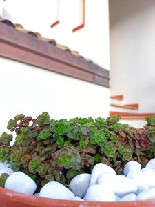 Fotografie z fotogalerie ubytování Le Sorgenti Guest House v destinaci Ilbono