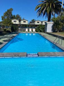 een groot blauw zwembad met stoelen en een palmboom bij Bellinger River Tourist Park in Repton