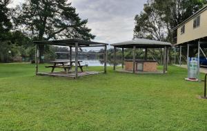 een picknicktafel en een picknickschuilplaats in een park bij Bellinger River Tourist Park in Repton