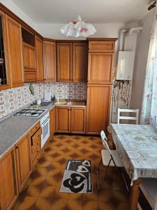 帕多瓦的住宿－Singolo Mini Apartamento，厨房配有木制橱柜和台面