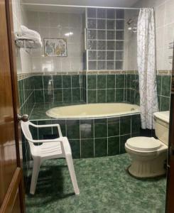 baño de azulejos verdes con bañera y aseo en FLAT AMOBLADO EN PUEBLO LIBRE - LIMA - PERÚ en Lima
