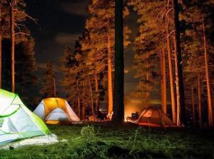 Camp Agastya Karjat Bhimashankar في كارجات: مجموعة من الخيام في غابة في الليل