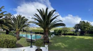 a group of palm trees next to a swimming pool at The Sanctuary Guest House Estate in Cape Town