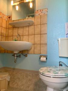 a bathroom with a sink and a toilet and a mirror at Hotel Pension Schienfatt am Dornumersieler Tief in Dornum
