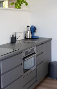 a kitchen with a sink and a counter top at Buitenplaats Wergea in Naarderburen