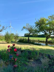 un champ de fleurs et un étang avec des éoliennes dans l'établissement Hotel Pension Schienfatt am Dornumersieler Tief, à Dornum