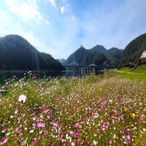 a field of flowers next to a body of water at Stay 230 in Danyang