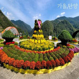 山景或在旅馆看到的山景