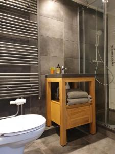 La salle de bains est pourvue d'une douche, de toilettes et d'un lavabo. dans l'établissement Private Apartment., à Hilversum