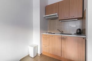 uma pequena cozinha com armários de madeira e um lavatório em Apartmán A5 pro 3 osoby - Monínec - celoročně em Moninec