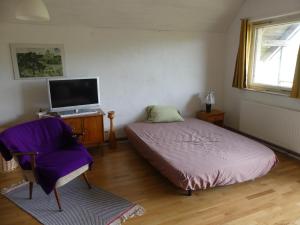 - une chambre avec un lit, une chaise et une télévision dans l'établissement Warthe - Mitten in der Natur, à Warthe