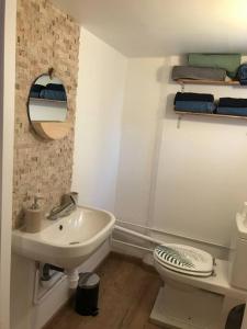 een kleine badkamer met een wastafel en een toilet bij Studio 1 à 4 pers, proche Strasbourg, Europa-Park, Colmar in Erstein