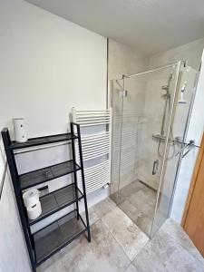 a bathroom with a shower and a glass shower stall at Birkenstraße 7 Whg 1 in Zingst