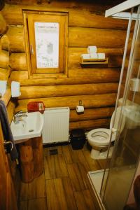 a bathroom with a toilet and a sink at Cabana La Matei in Suceava