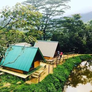 una casa con techo verde junto a un río en Suriya Camping - Knuckles 