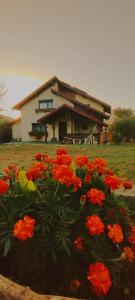 a house with a bunch of flowers in front of it at Cottage in traditional village Bradulet, Arges county in Brăduleţ
