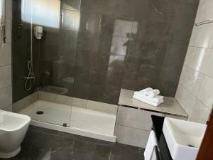 a bathroom with a shower and a toilet and a sink at HOTEL BOUTIQUE a ESPLANADA in Castelo Branco