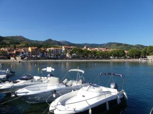 a group of boats docked in a body of water at Le Glacis in Collioure