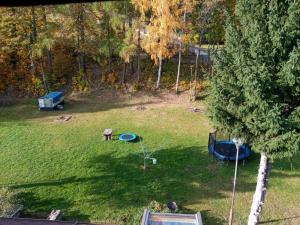 an aerial view of a yard with a tree at Apartament u Oli in Karpacz