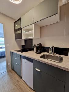 a kitchen with a sink and a counter top at Studio moderne en bord de mer in Cabourg +3 photos