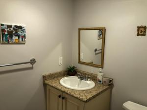 a bathroom with a sink and a mirror at Premium home with Garden view, private parking in Toronto