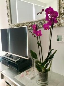 un jarrón con flores púrpura en una mesa con TV en Lelle Marine Resort Voila Apartman, en Balatonlelle