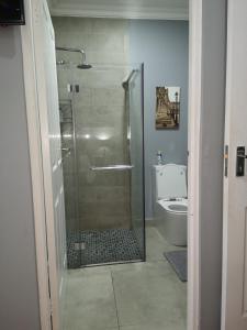 a bathroom with a shower and a toilet at Sky Holiday House in East London