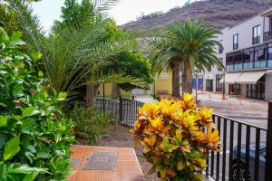 a garden with yellow and orange flowers on a fence at Beach Breeze, Playa Santiago in Alajeró